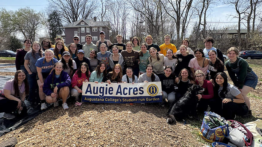 Augie Acres group