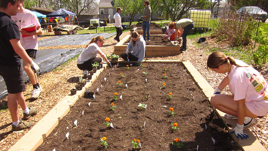 Planting at Augie Acres