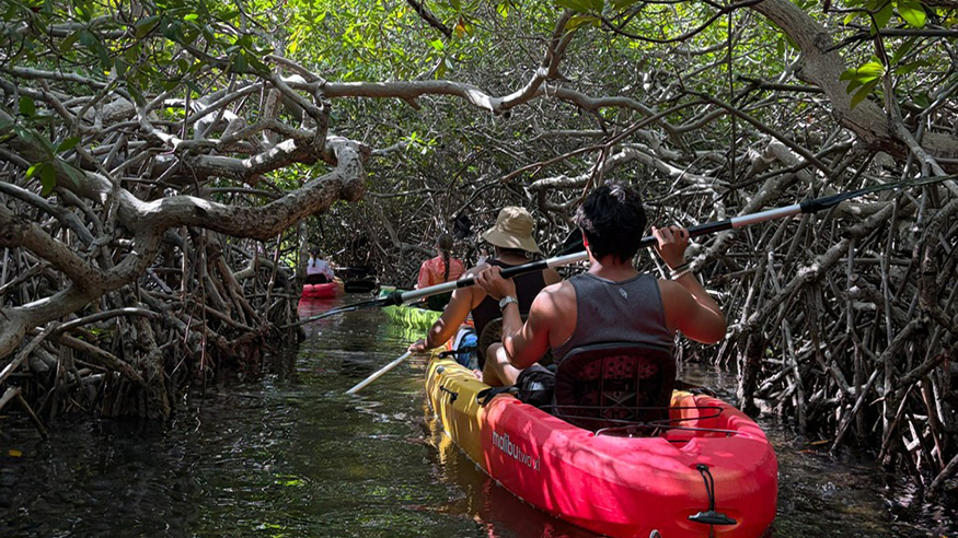 Kayaking through mangrove channels in Bonaire