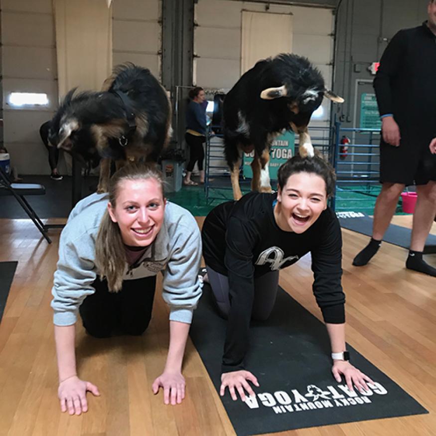 Patti tries yoga with goats!