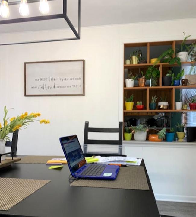 Lots of succulants and cactus plants with laptop on the table