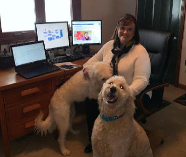 Keri Rursch poses with 2 golden doodles and 3 computer monitors on her desk.