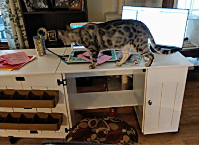 Kristina Hein using her sewing station as a desk. Kitty climbing over it blocking her computer.
