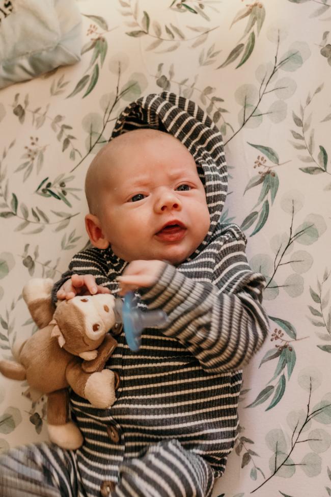 Baby Lueders