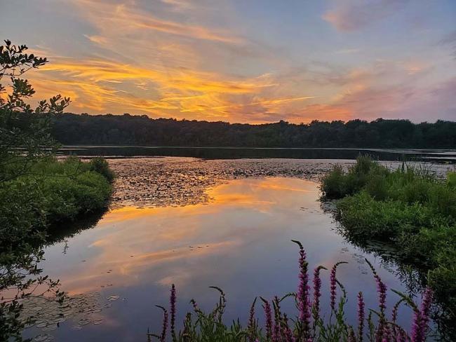 Nahant Marsh