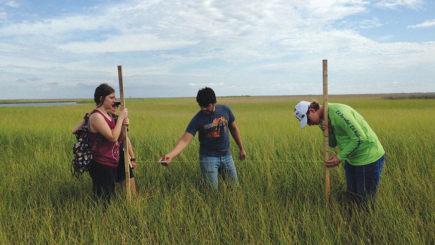 Students collecting data along the Louisiana coast