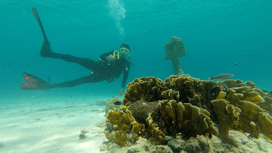 Mike Wolf near Bonaire